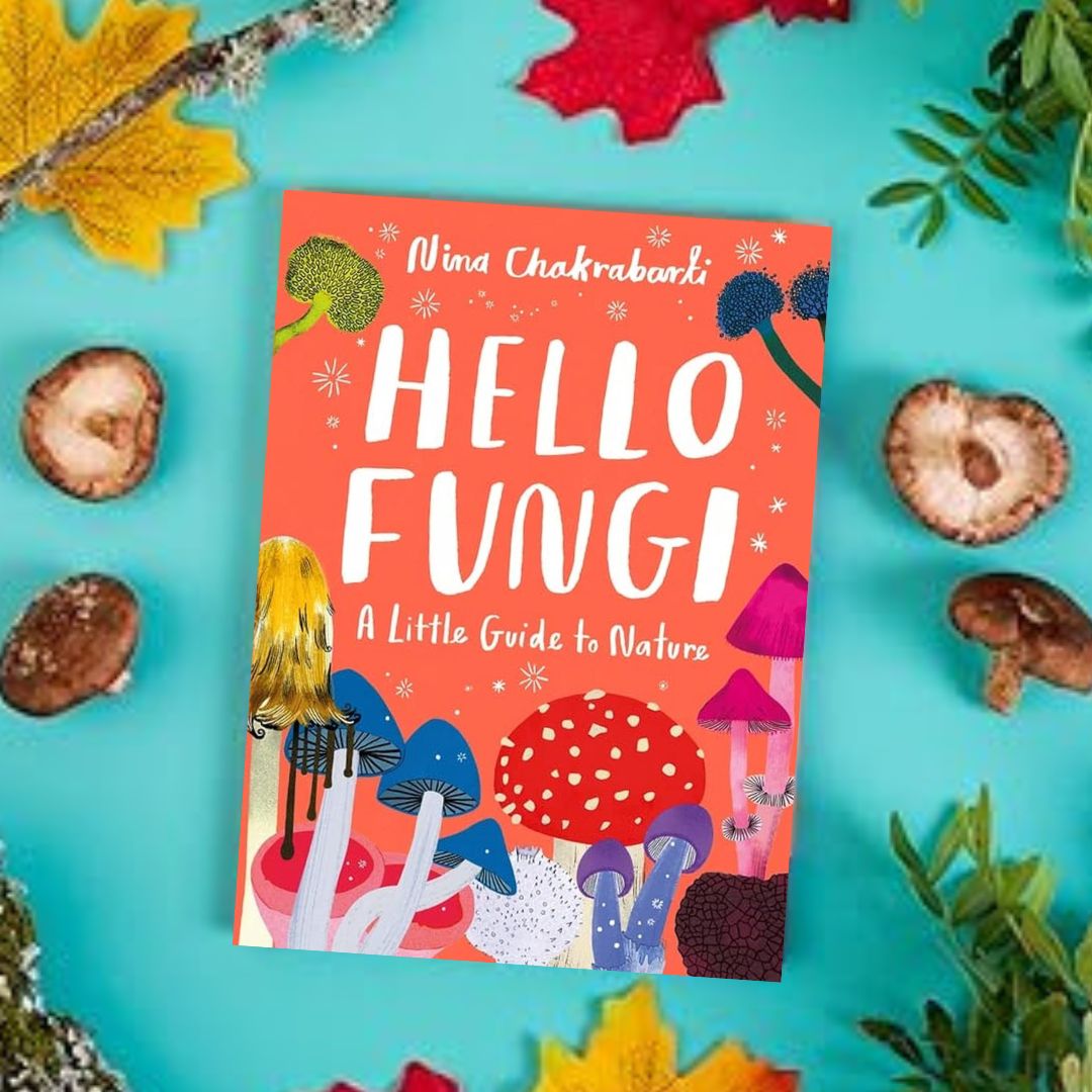 Brilliant Books | Hello Fungi: A Little Guide To Nature by Nina Chakrabarti by Weirs of Baggot Street