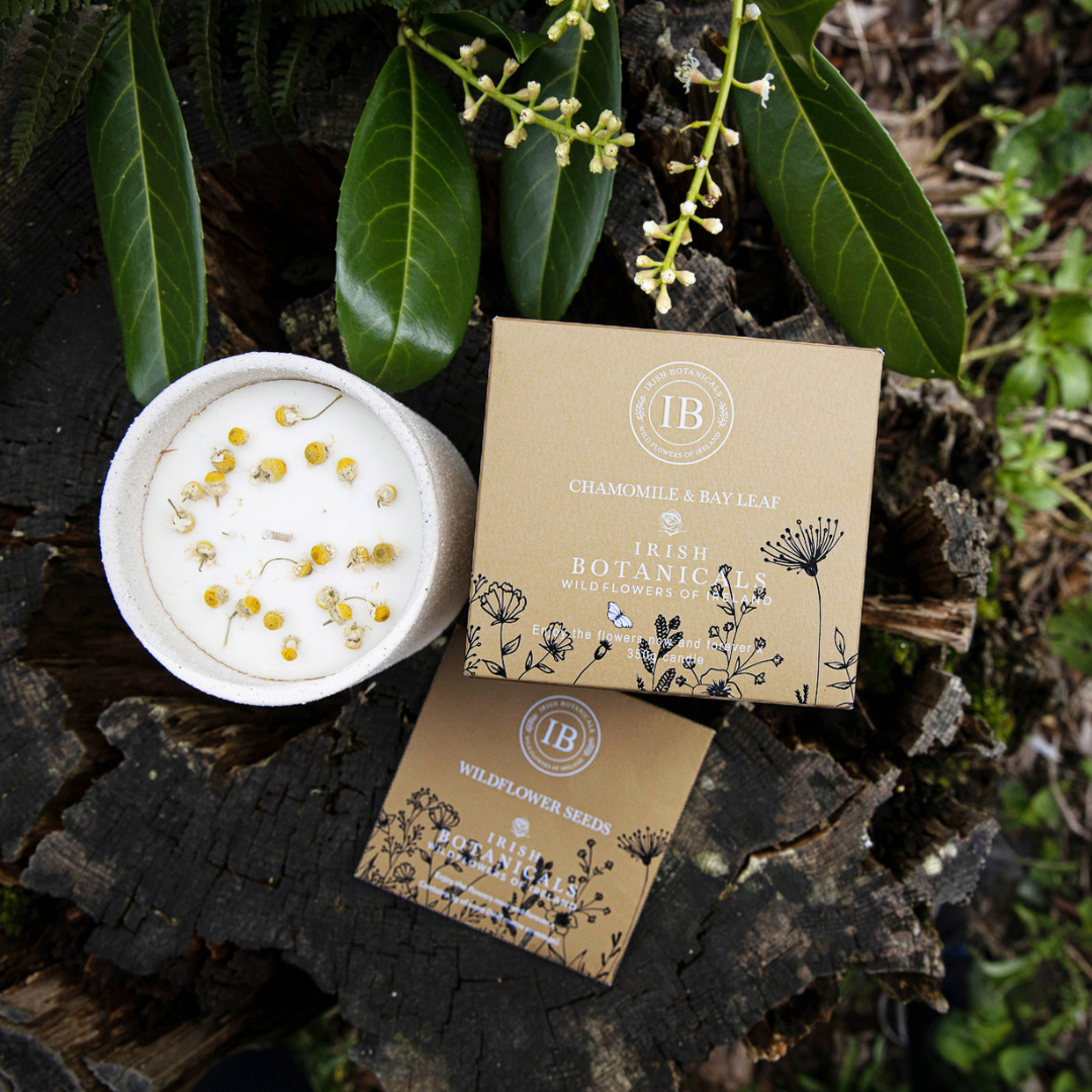 Fabulous Gifts Irish Botanicals Wildflower Chamomile And Bayleaf Ceramic Candle by Weirs of Baggot Street