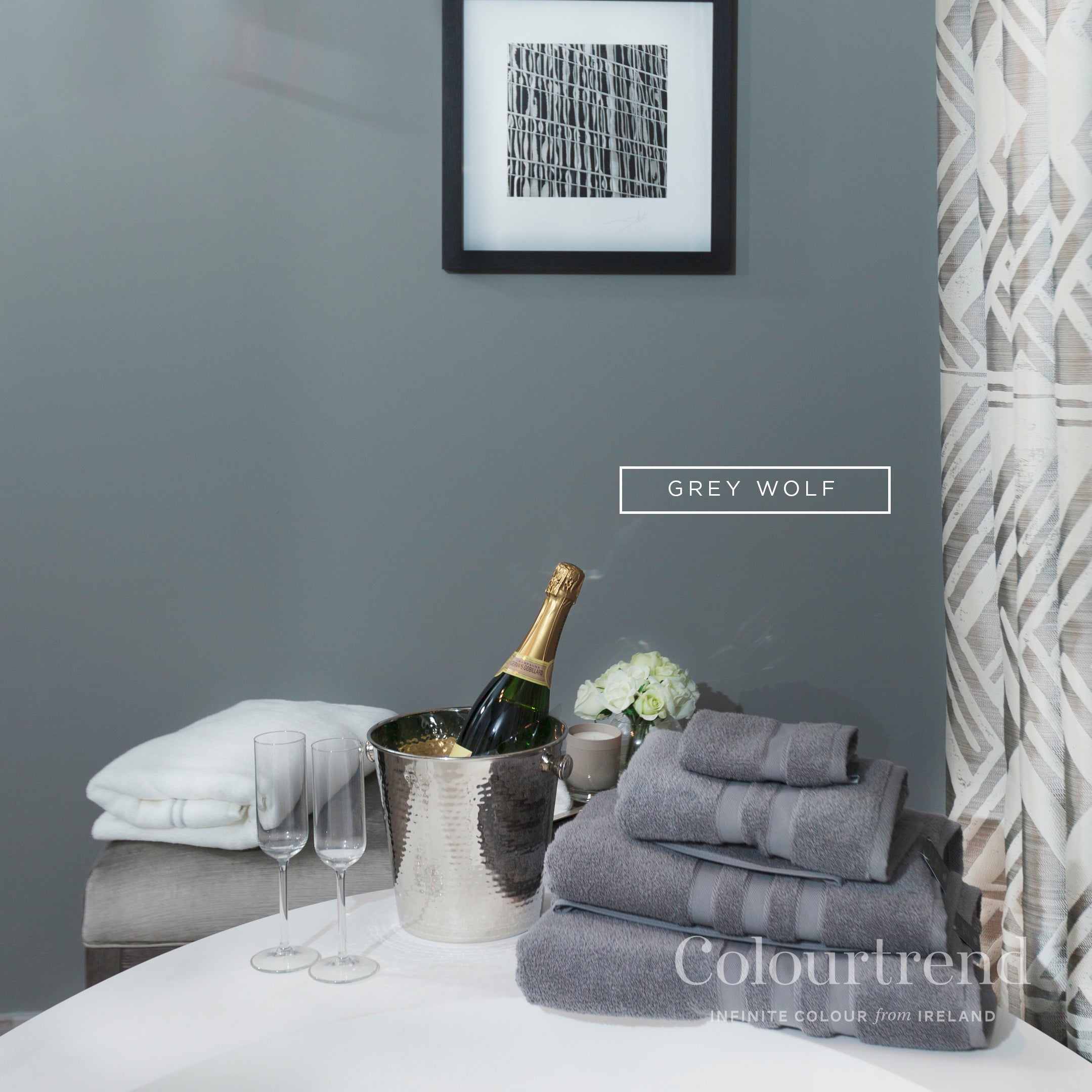 Colourtrend Grey Wolf | Same Day Dublin and Nationwide Paint in Ireland Delivery by Weirs of Baggot Street - Official Colourtrend Stockist
