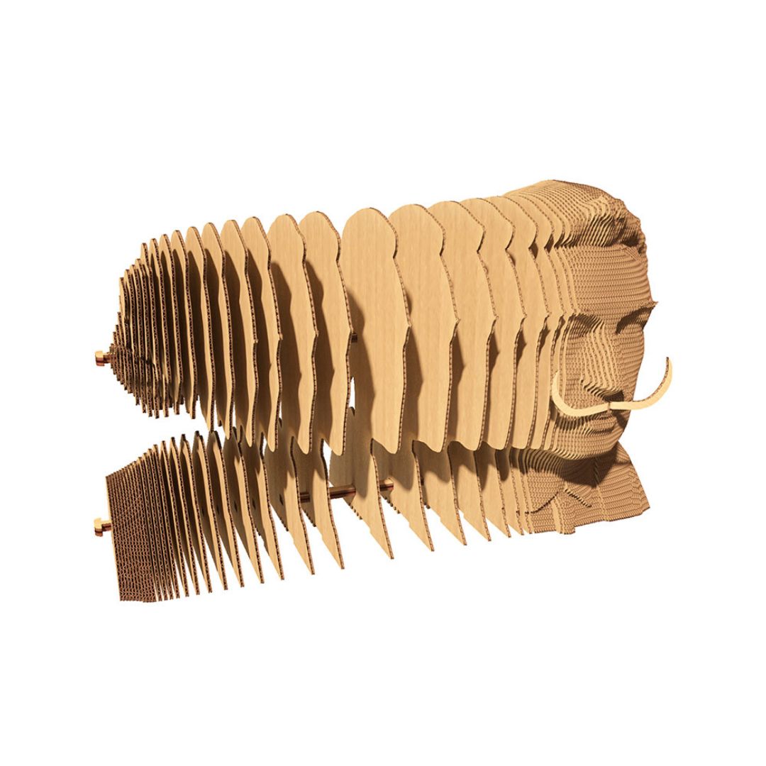 Fab Gifts | Cartonic 3D Cardboard Puzzle Salvador by Weirs of Baggot Street