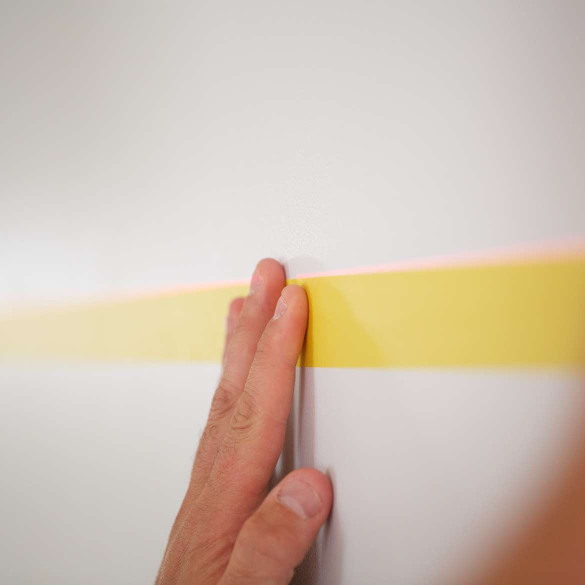 Paint & Decorating | FrogTape® Painter's Tape by Weirs of Baggot St
