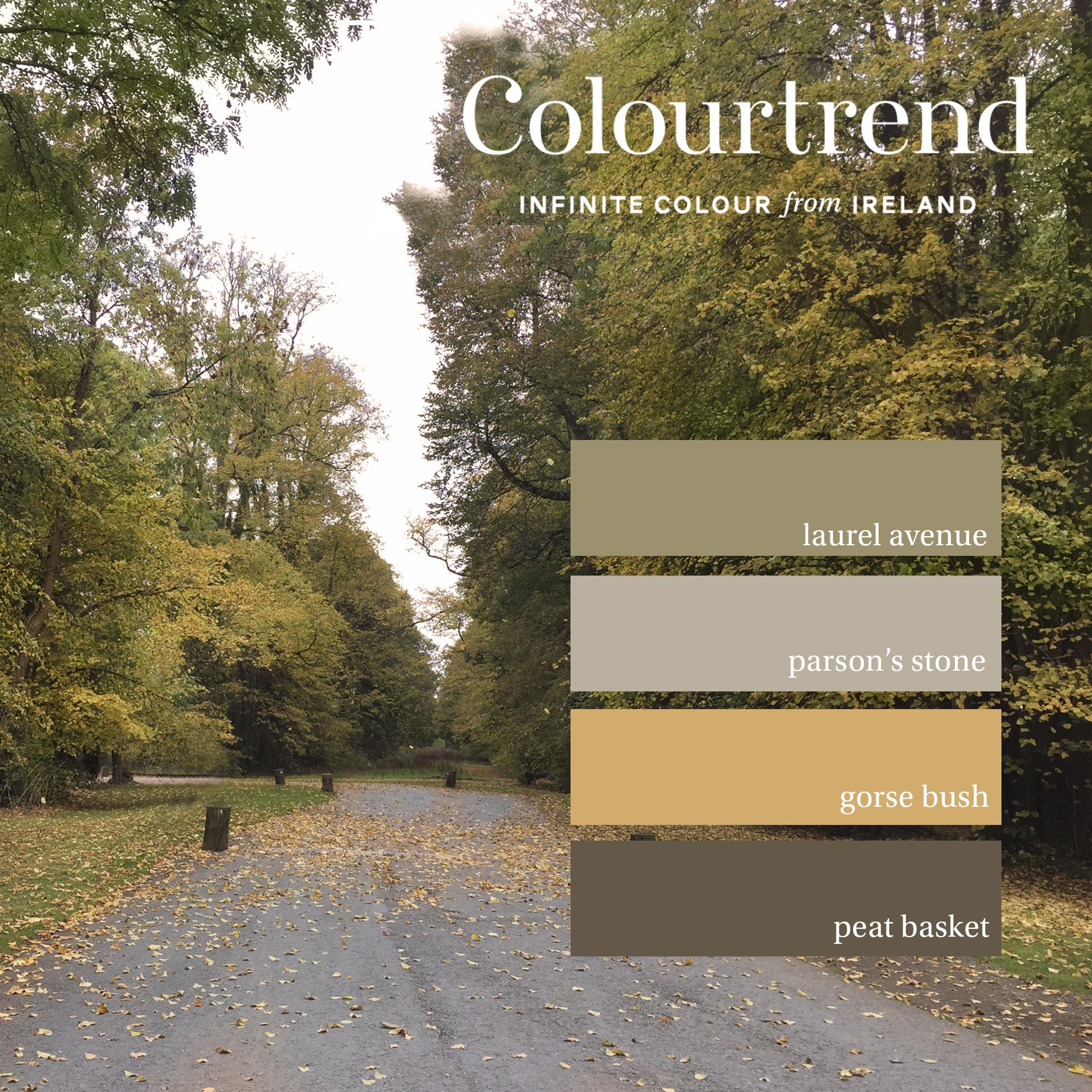 Colourtrend Peat Basket | Same Day Dublin and Nationwide Paint in Ireland Delivery by Weirs of Baggot Street - Official Colourtrend Stockist