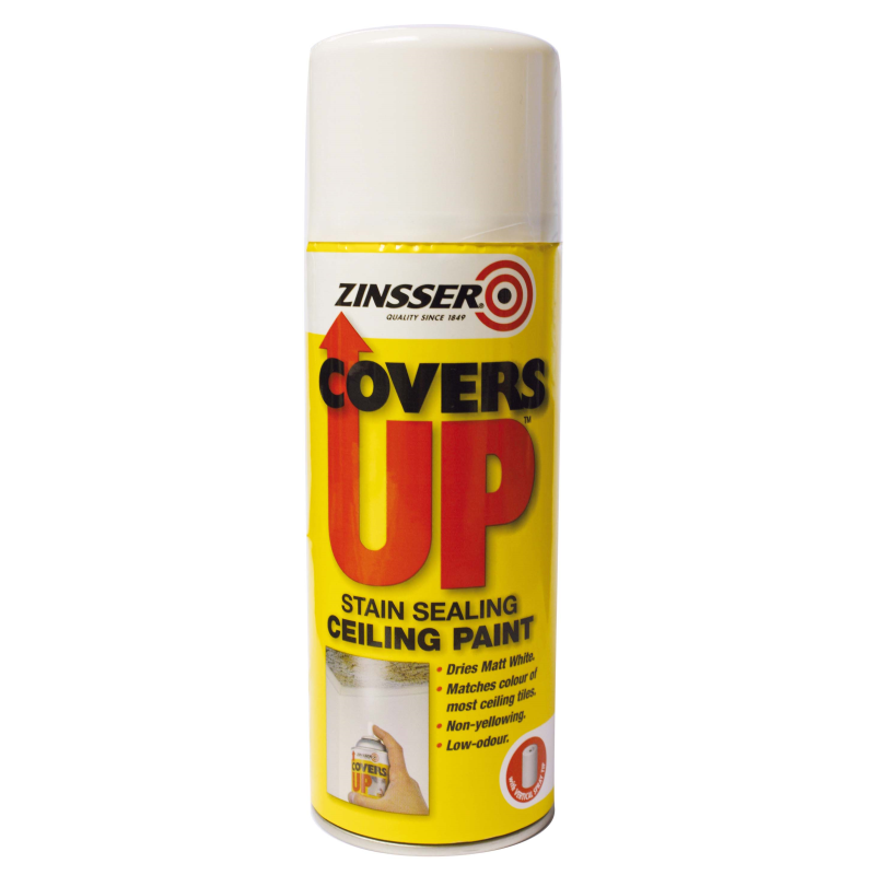 Stain & Protection | Zinsser Cover Up Aerosol by Weirs of Baggot St