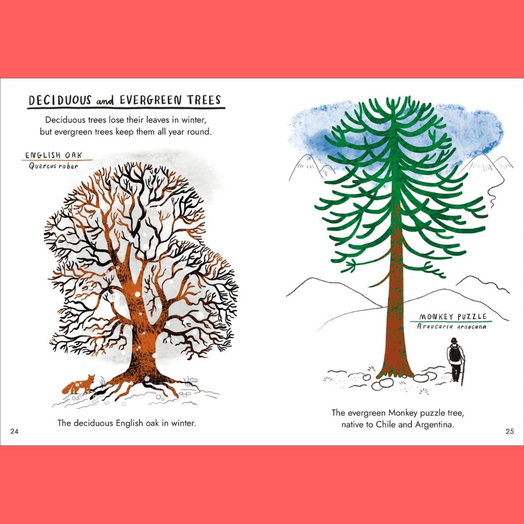 Brilliant Books | Hello Trees: A Little Guide To Nature by Nina Chakrabarti by Weirs of Baggot Street