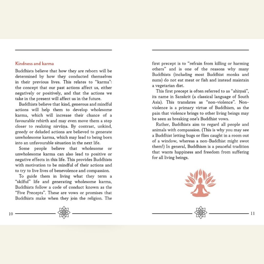 Brilliant Books | Little Book Of Buddhism  by Weirs of Baggot Street