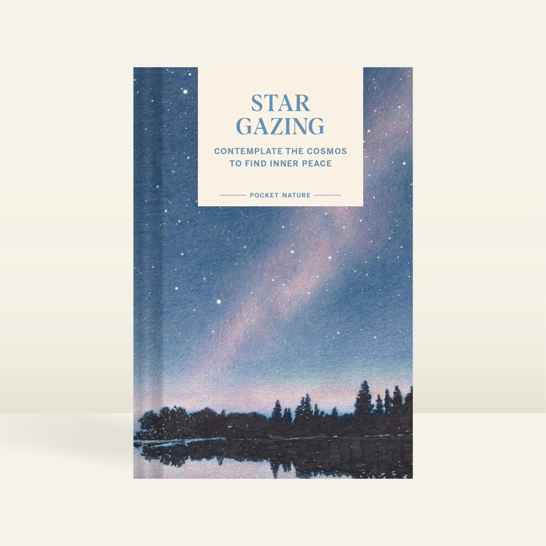 Brilliant Books | Stargazing by Swapna Krishna by Weirs of Baggot Street