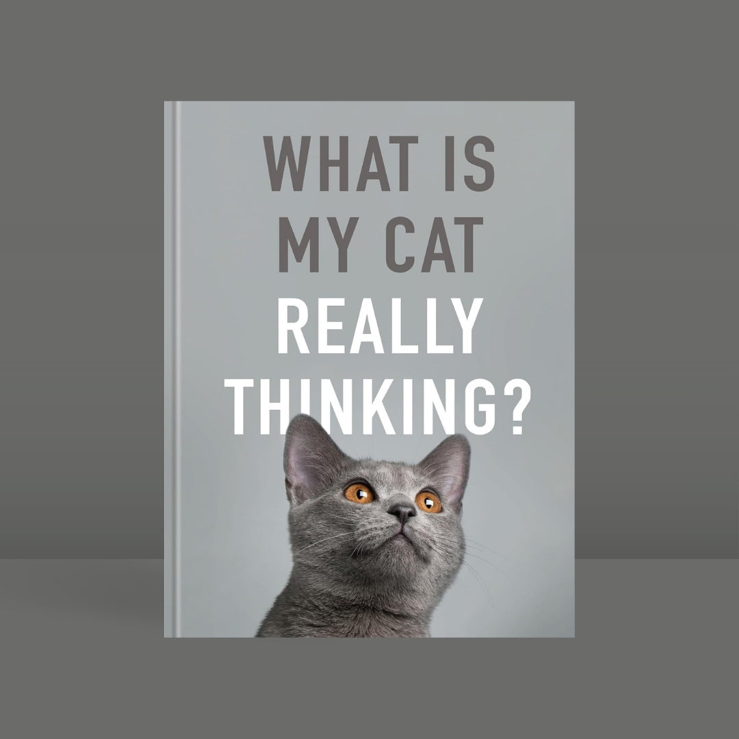 Brilliant Books _ What Is My Cat Really Thinking__ Our Moggie's Inner Mind Explained by Weirs of Baggot Street