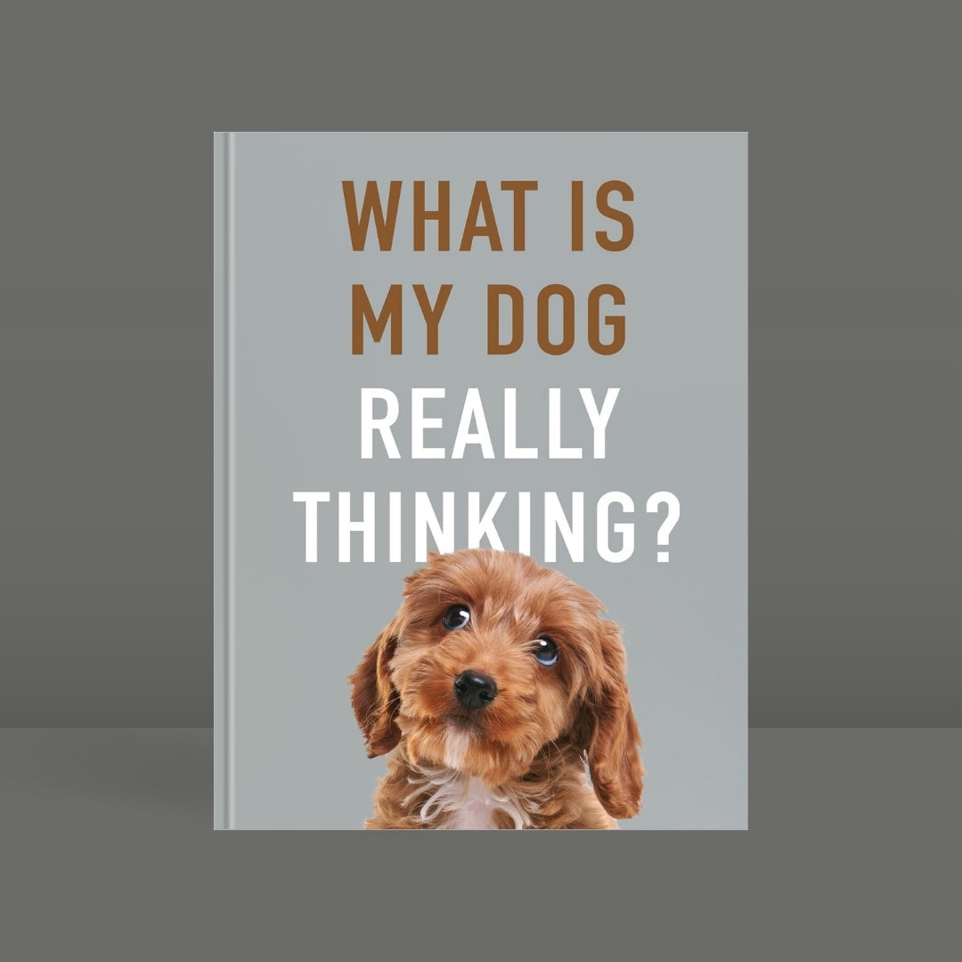 Brilliant Books _ What Is My Dog Really Thinking_ Our Doggie's Inner Mind Explained by Weirs of Baggot Street