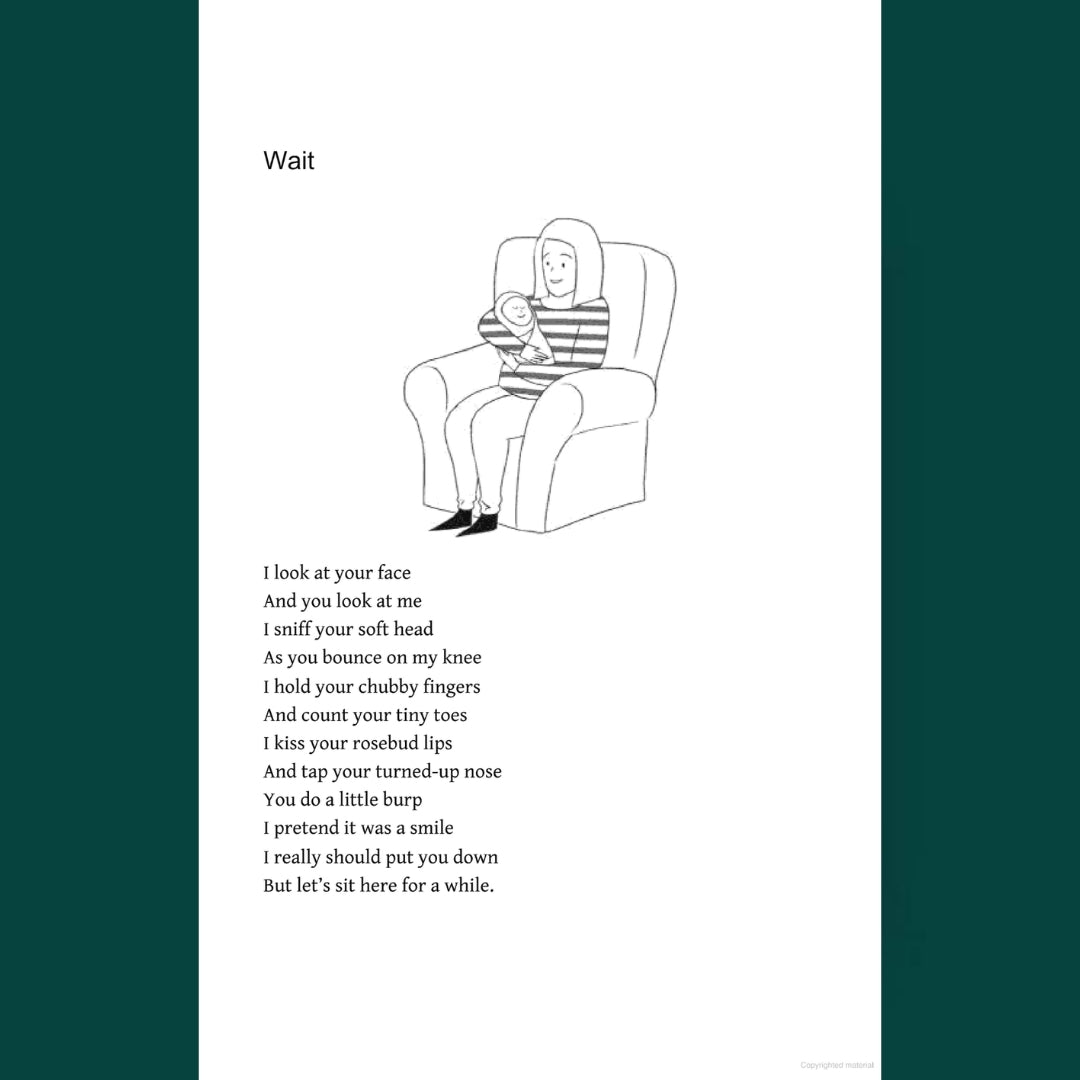 Brilliant Books _ Will I Ever Pee Alone Again_ Poems for mums - Emma Conway by Weirs of Baggot Street