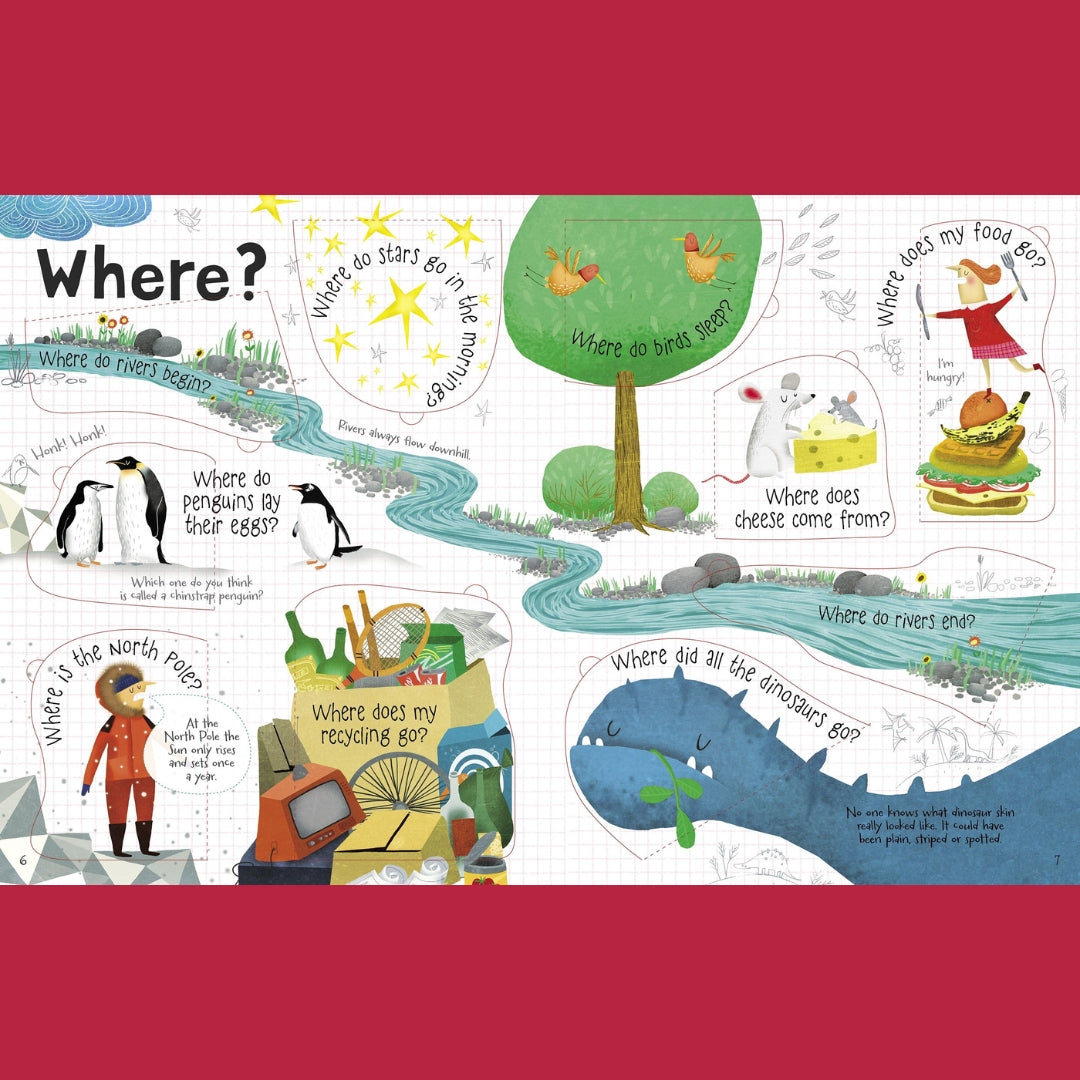 Bubs & Kids Little Bookworms Usborne Lift The Flap Q&A Book by Weirs of Baggot Street