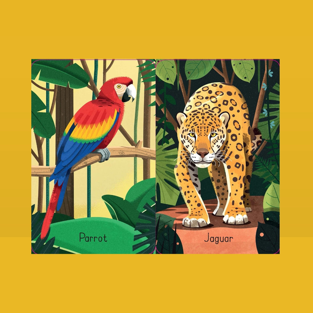 Bubs & Kids Little Bookworms Usborne Snap Cards Jungle by Weirs of Baggot Street