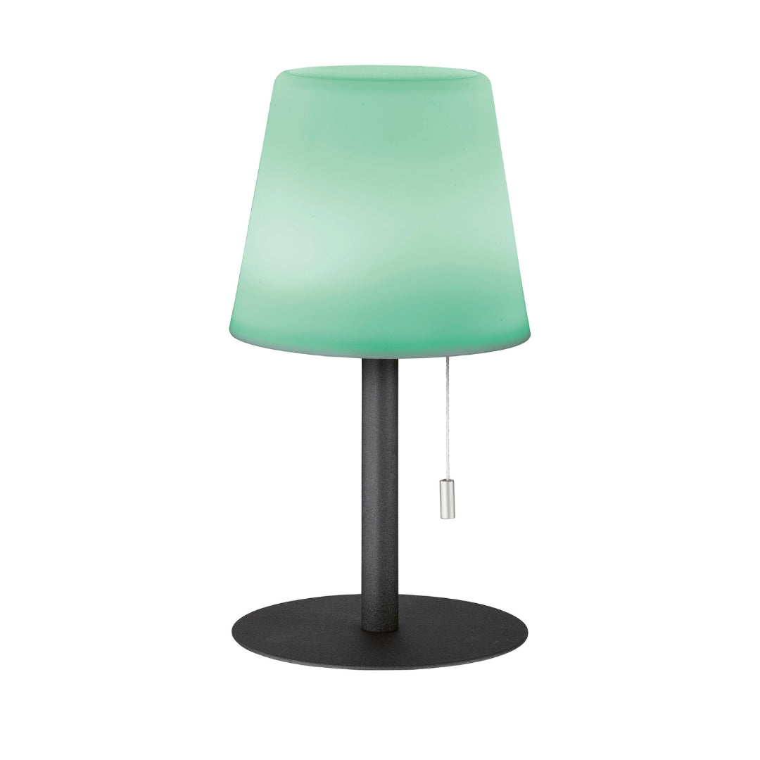 Clever Gadgets FH Lighting Outdoor LED Table Lamp Antracite by Weirs of Baggot Street