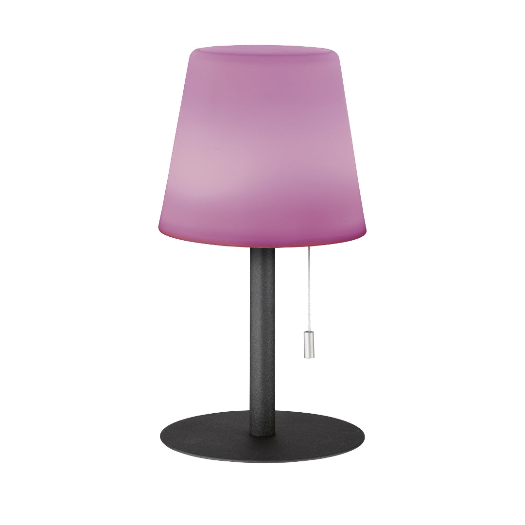 Clever Gadgets FH Lighting Outdoor LED Table Lamp Antracite by Weirs of Baggot Street