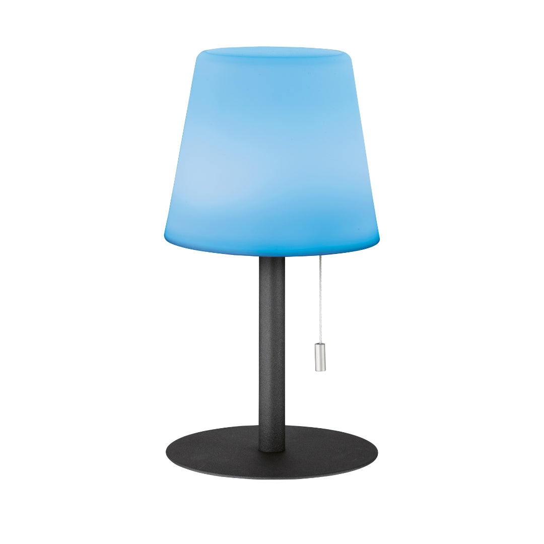 Clever Gadgets FH Lighting Outdoor LED Table Lamp Antracite by Weirs of Baggot Street