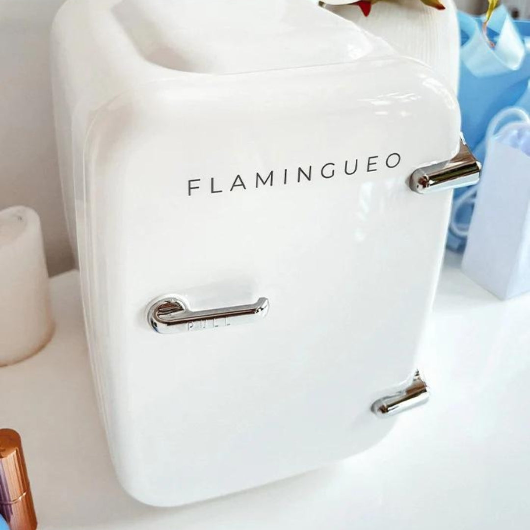 Fab Gifts | Brienne Mini Fridge Portable Retro White 4L by Weirs of Baggot Street