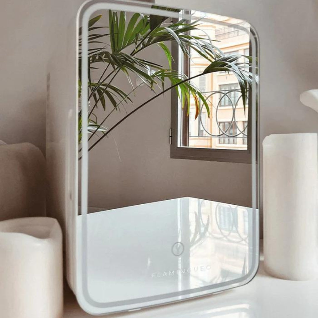 Fab Gifts | Grimmy Fridge with mirror and LED lights 10L by Weirs of Baggot Street