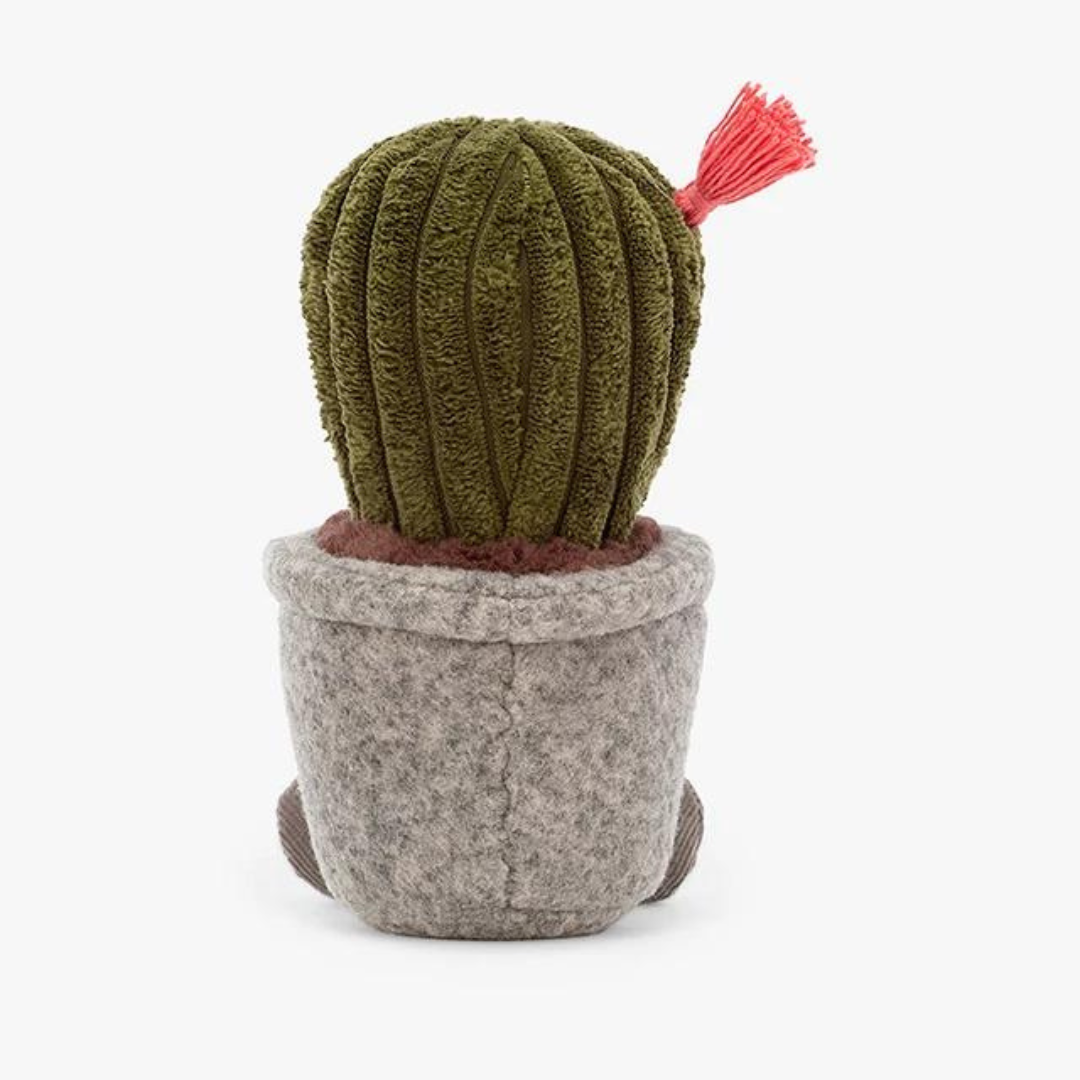 Fab Gifts | Jellycat Silly Succulent Cactus by Weirs of Baggot Street