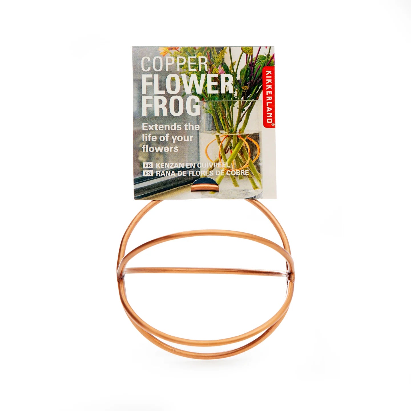 Fab Gifts | Kikkerland Copper Flower Frog by Weirs of Baggot Street