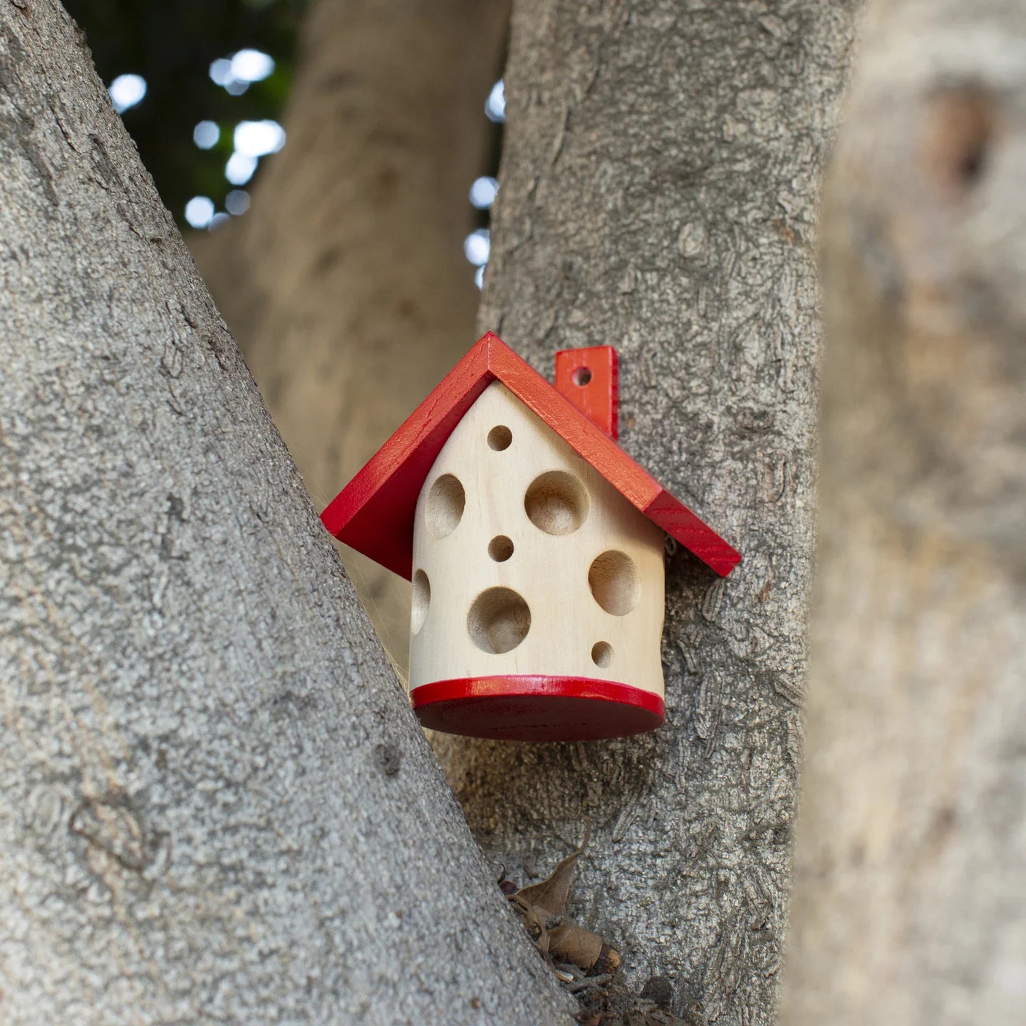 Fab Gifts | Kikkerland Ladybug House by Weirs of Baggot Street