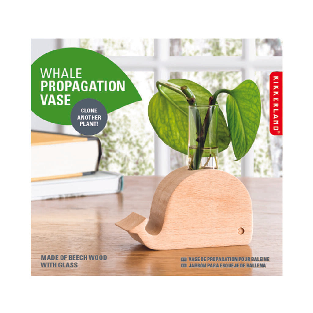 Fab Gifts | Kikkerland Whale Propagation Vase by Weirs of Baggot Street