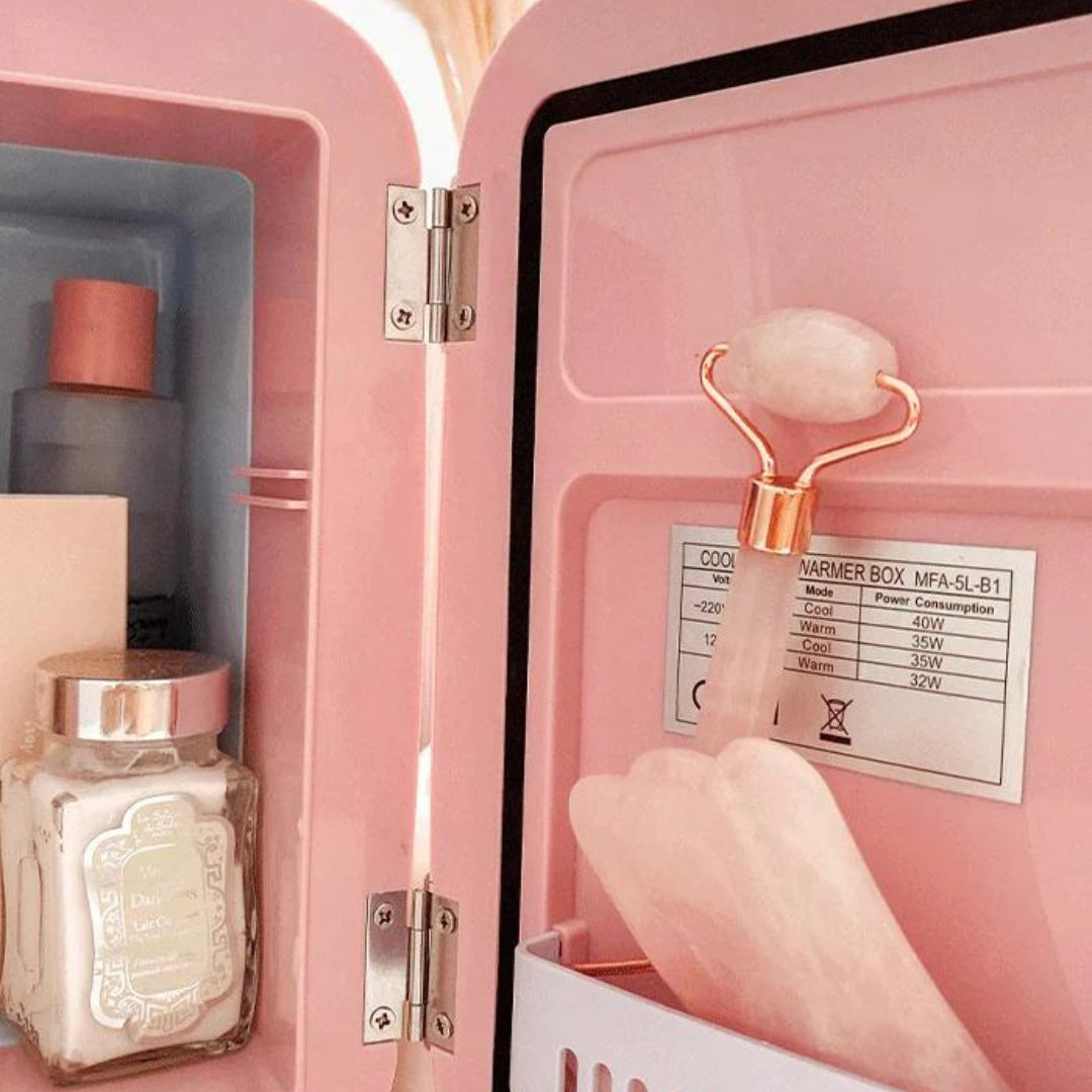 Fab Gifts | Sansa Mini Fridge Portable Retro Pink 4L by Weirs of Baggot Street