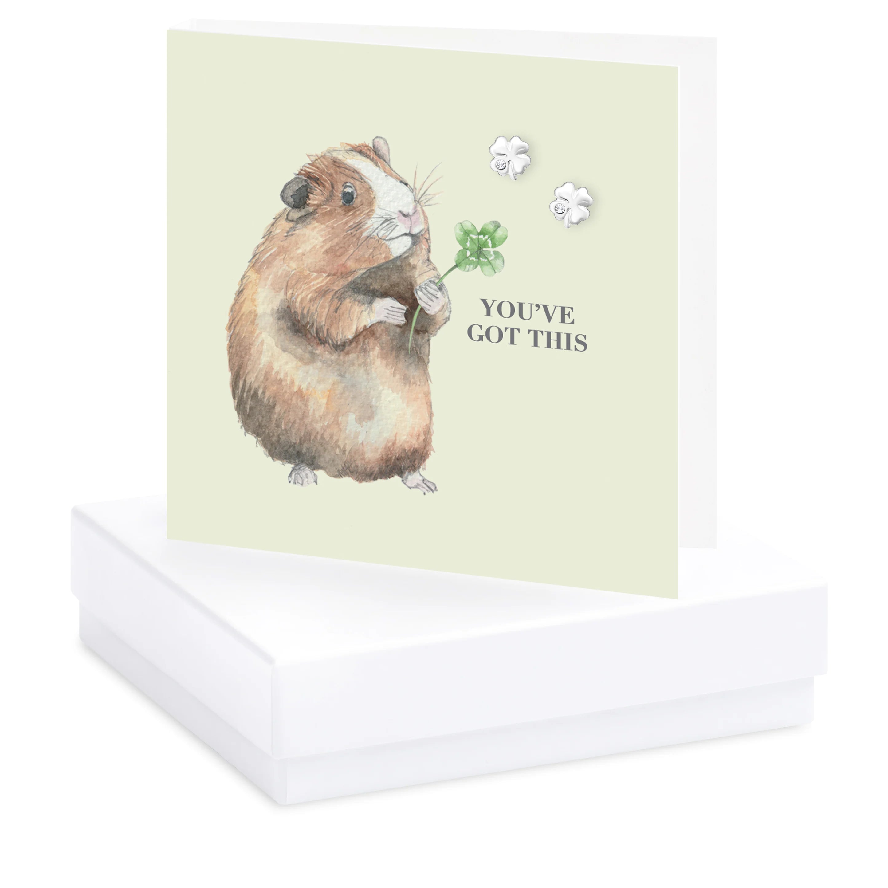 Fabulous Gifts Crumble & Core Box Got This Guinea Pig Earring Card by Weirs of Baggot Street