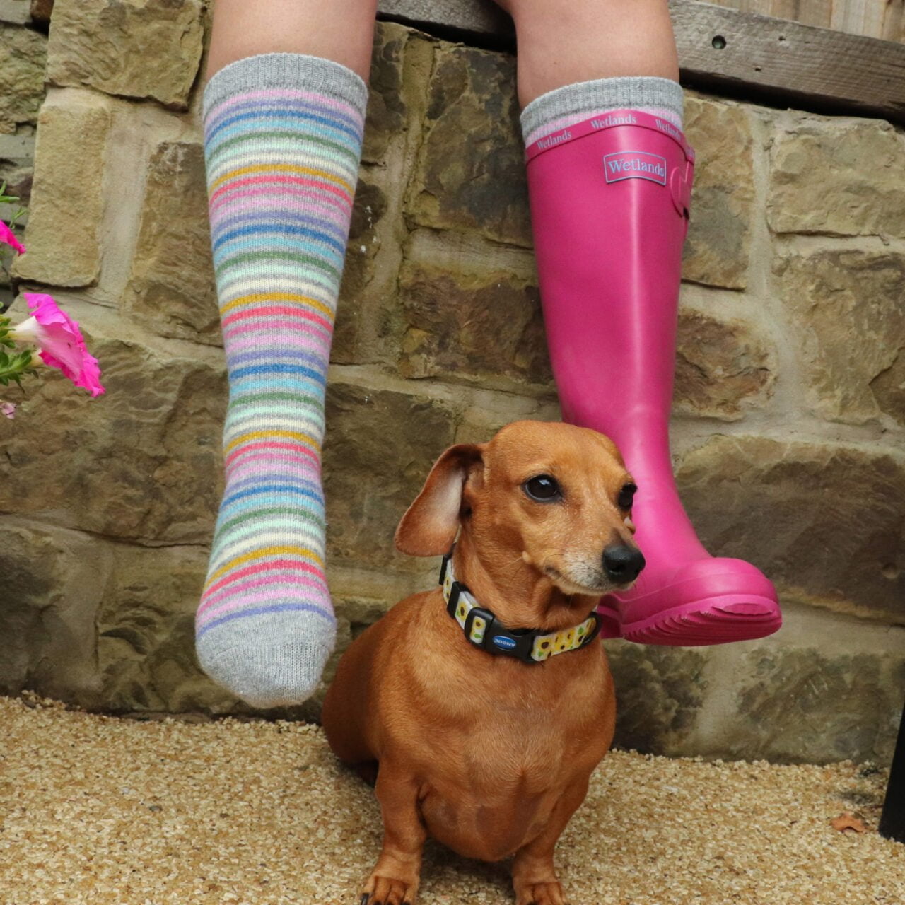 Fabulous Gifts Fashion Evie Rainbow Boot Socks by Weirs of Baggot Street