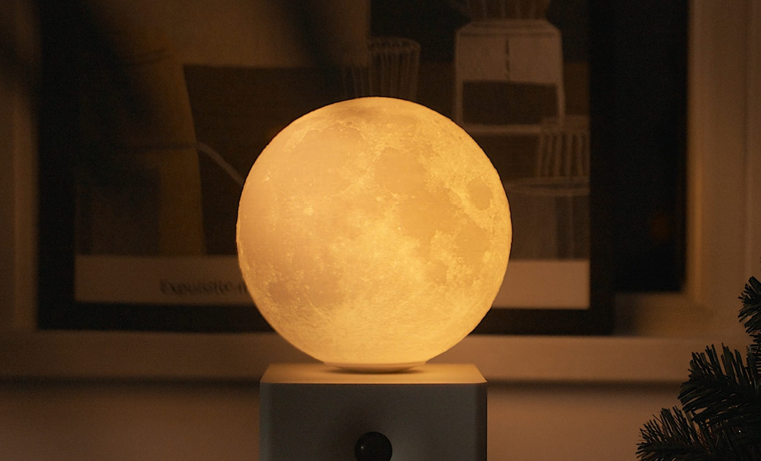 Fabulous Gifts Gingko Design Mini Lunaspin Lamp by Weirs of Baggot Street