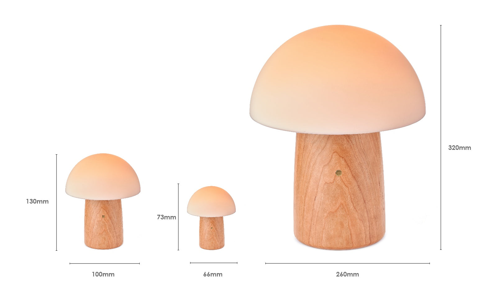 Fabulous Gifts Gingko Design Super Mini Alice Mushroom Lamp Walnut by Weirs of Baggot Street