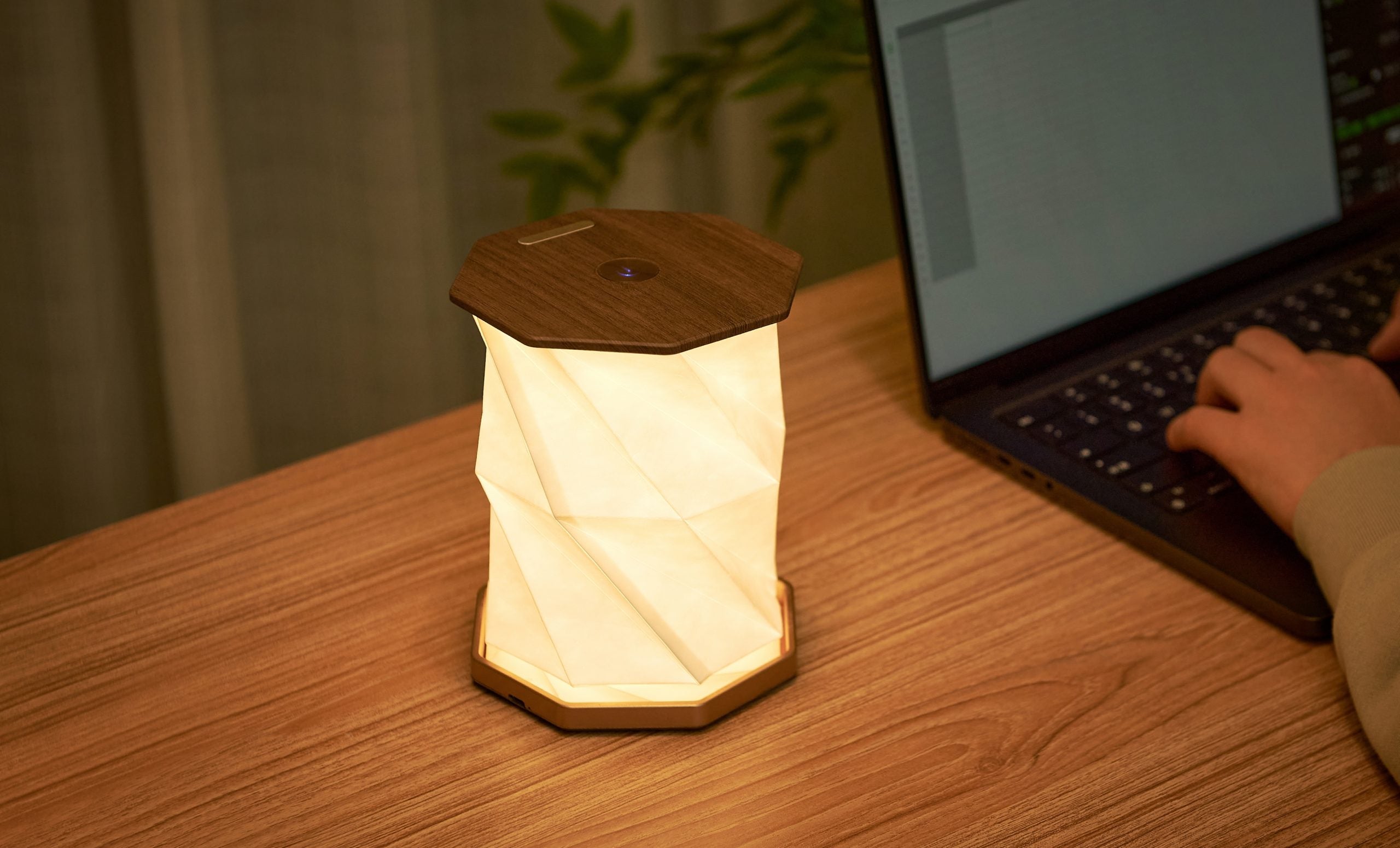 Fabulous Gifts Gingko Design Twist Hexagon Lamp Walnut by Weirs of Baggot Street