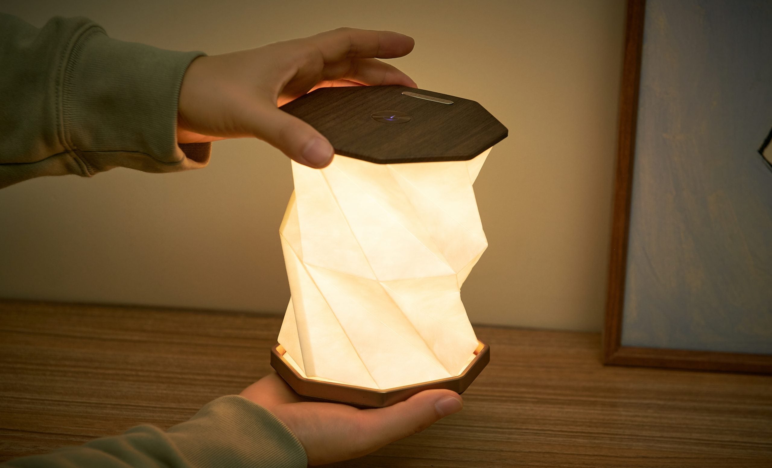 Fabulous Gifts Gingko Design Twist Hexagon Lamp Walnut by Weirs of Baggot Street