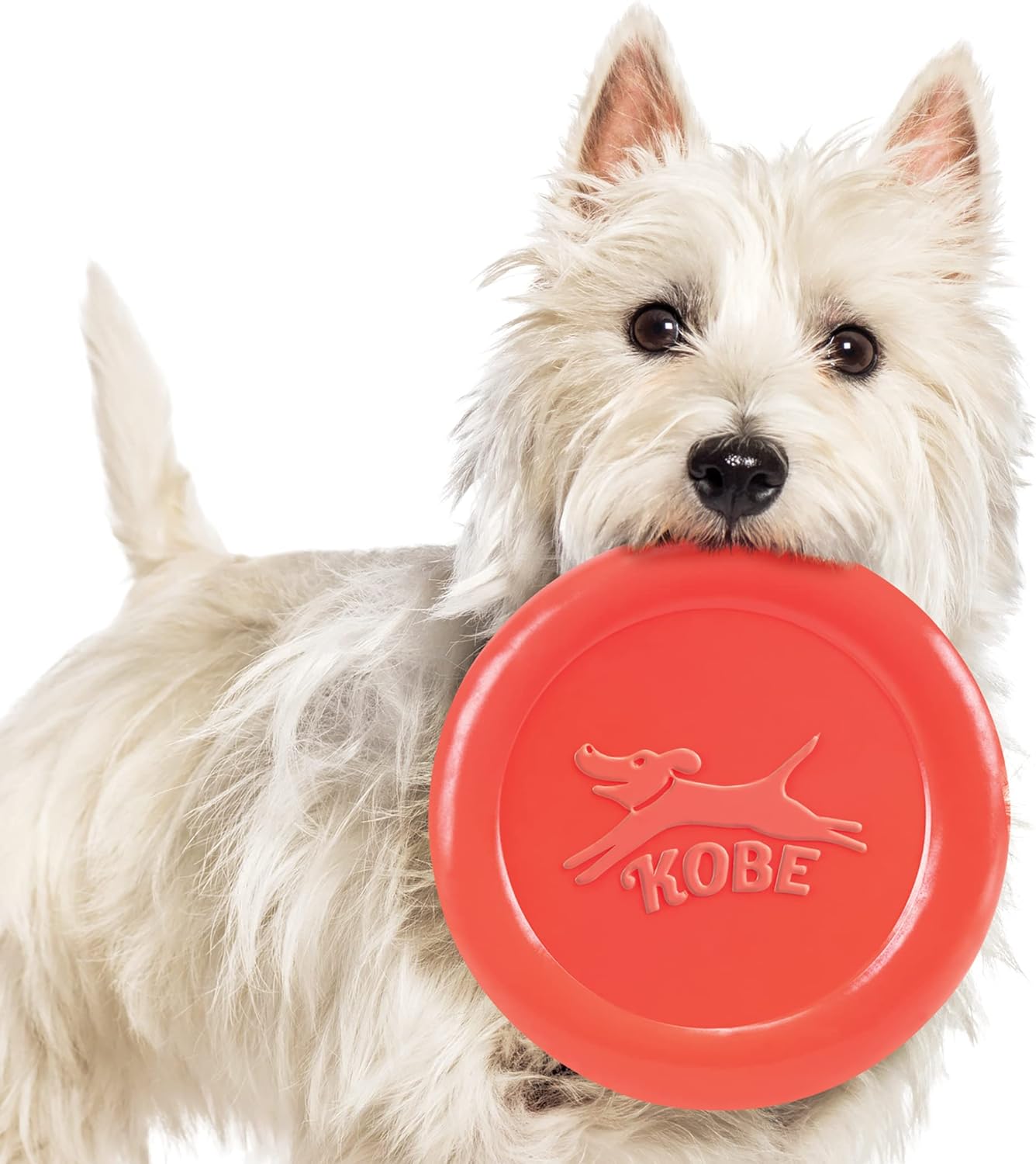 Fabulous Gifts Kikkerland Bacon Scented Flying Disc by Weirs of Baggot Street