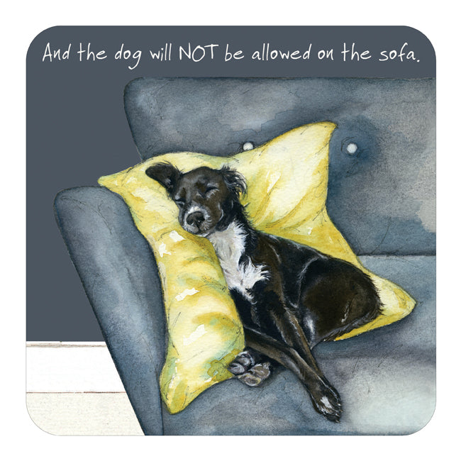Fabulous Gifts Little Dog laughed Not Sofa Coaster by Weirs of Baggot Street