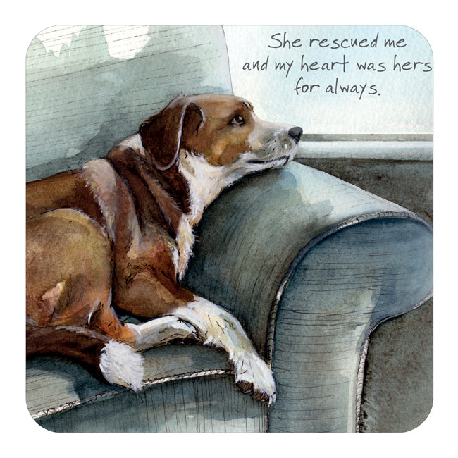 Fabulous Gifts Little Dog laughed Rescued Me Coaster by Weirs of Baggot Street