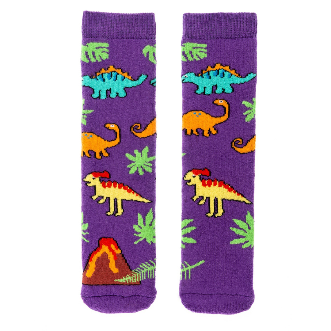 Fabulous Gifts Squelch Minis Socks Purple Dinosaur Age 3-6 by Weirs of Baggot Street