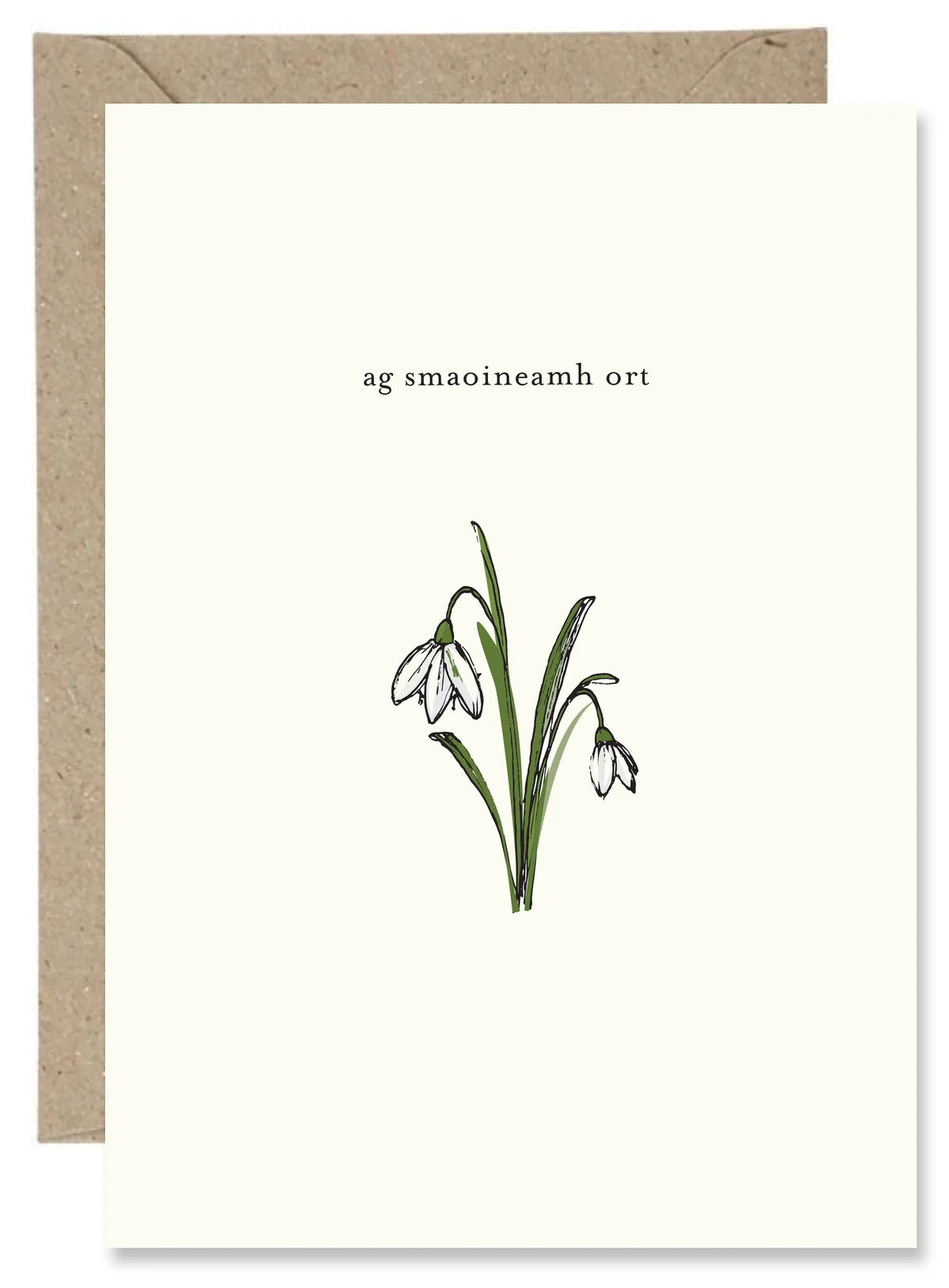 Fabulous Irish Made Greeting Cards The Paper Gull Ag Smaoineamh Ort (Thinking Of You) by Weirs of Baggot Street