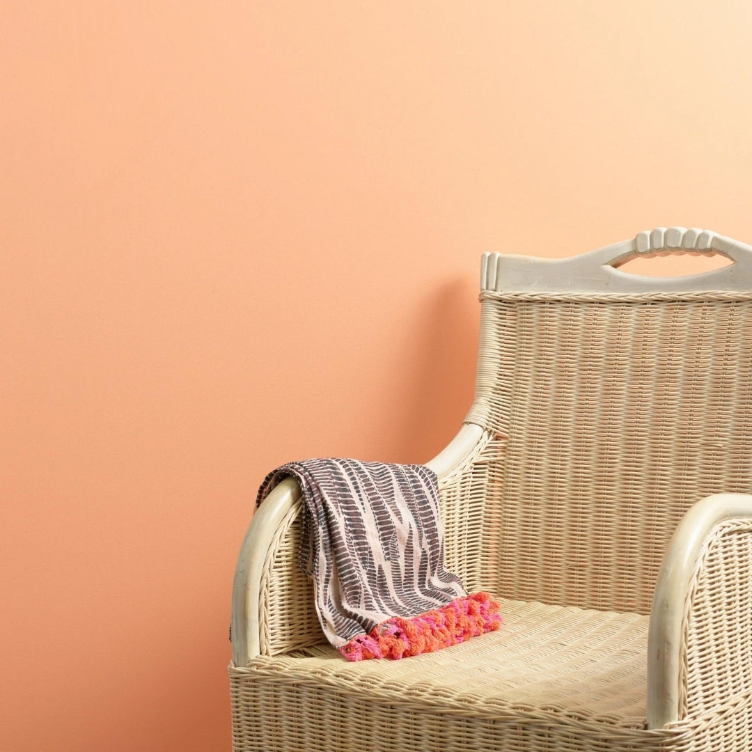 Frenchic Paint Peach And Love Trim Paint Frenchic Paint Trim Paint Range by Weirs of Baggot Street Irelands Largest and most Trusted Stockist of Frenchic Paint. Shop online for Nationwide and Same Day Dublin Delivery