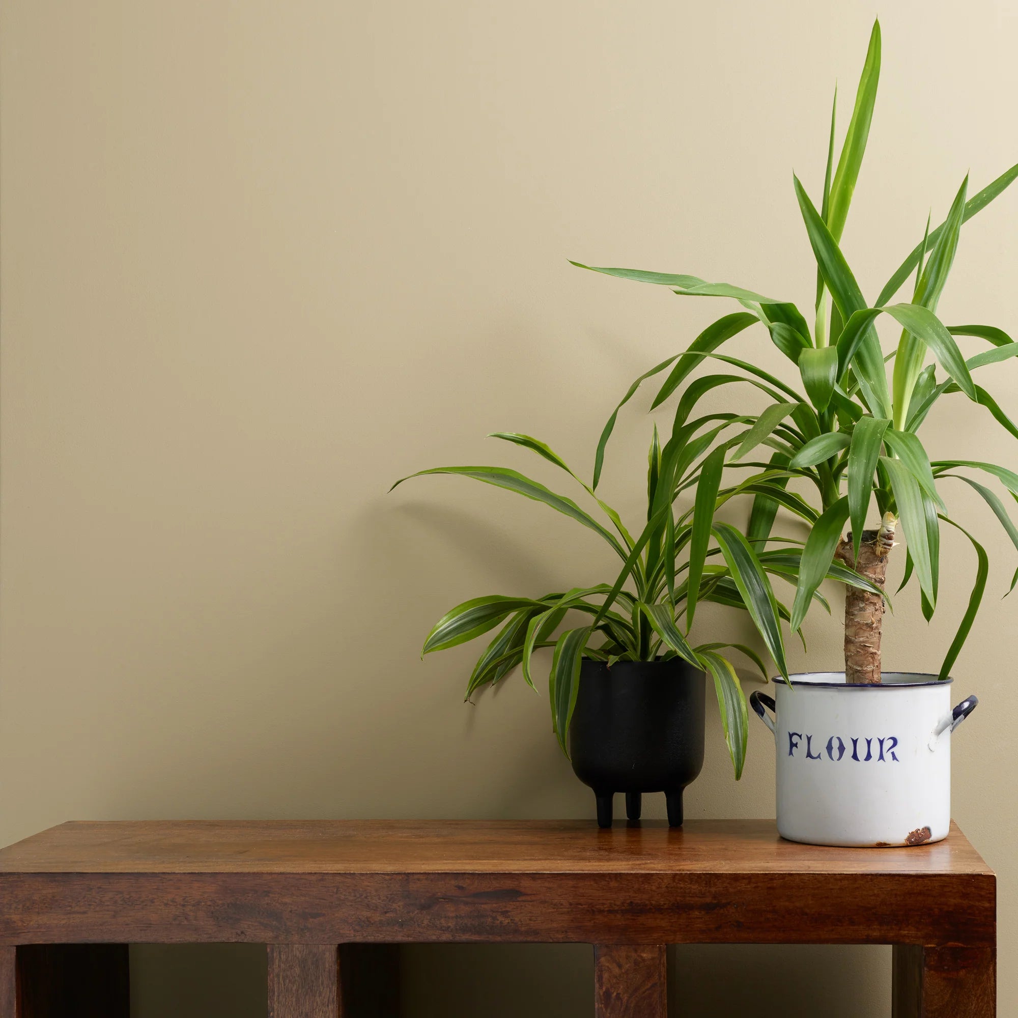 Frenchic Paint | Funky Dora Wall Paint 2.5L by Weirs of Baggot Street