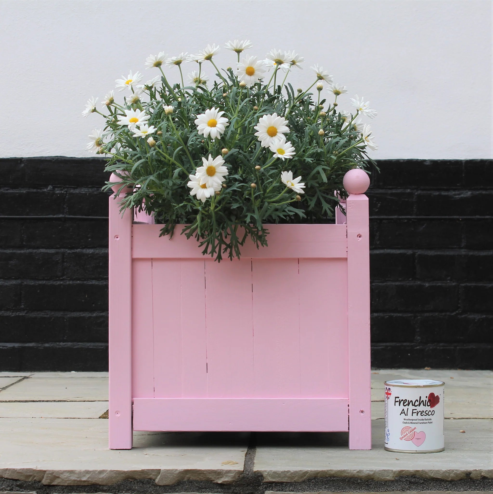 Frenchic Paint | Poppet Al Fresco Limited Edition by Weirs of Baggot Street