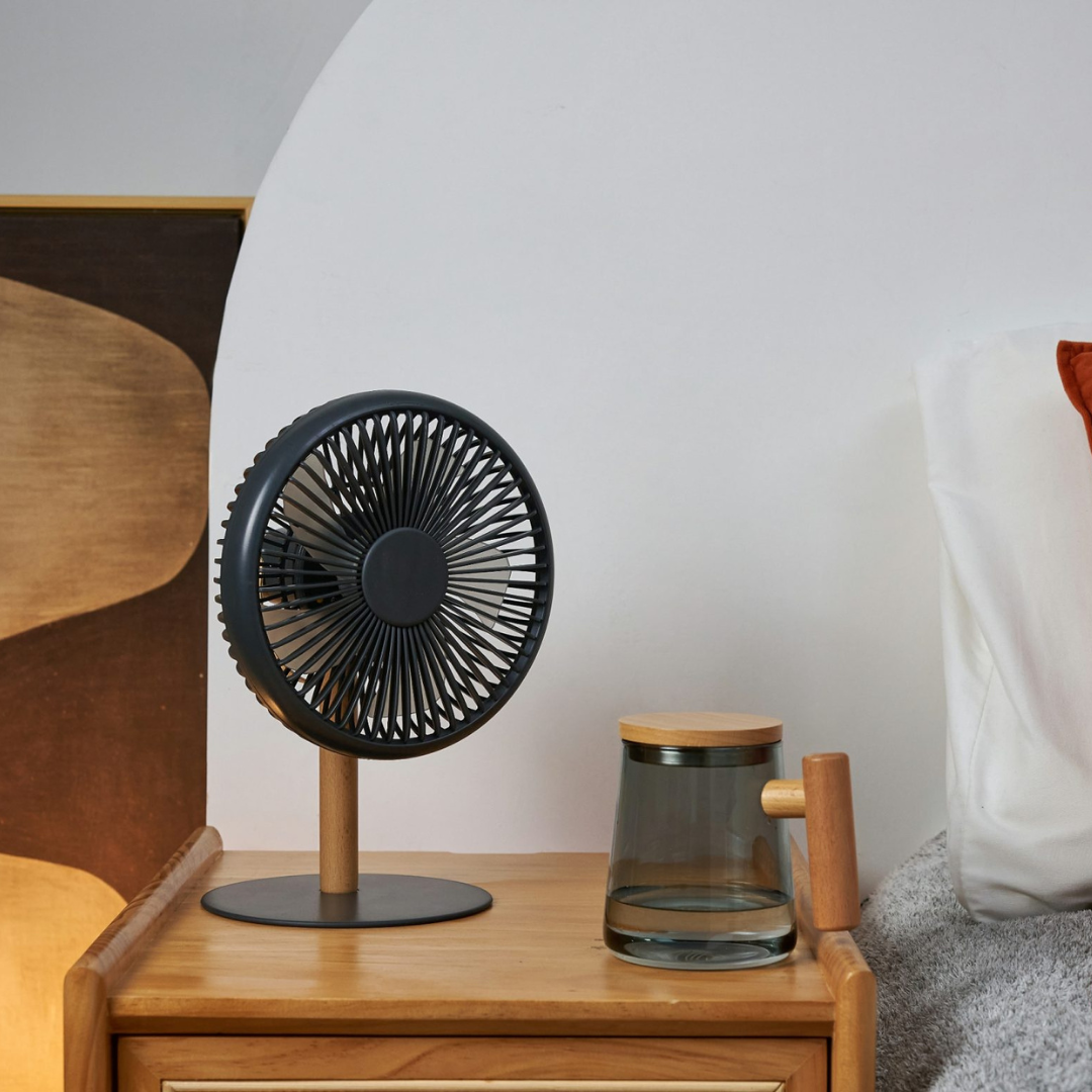 Gingko Design | Beyond Desk Fan Smart Grey by Weirs of Baggot Street