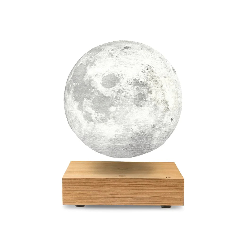 Gingko Design | Smart Moon Lamp Walnut Wood by Weirs of Baggot Street