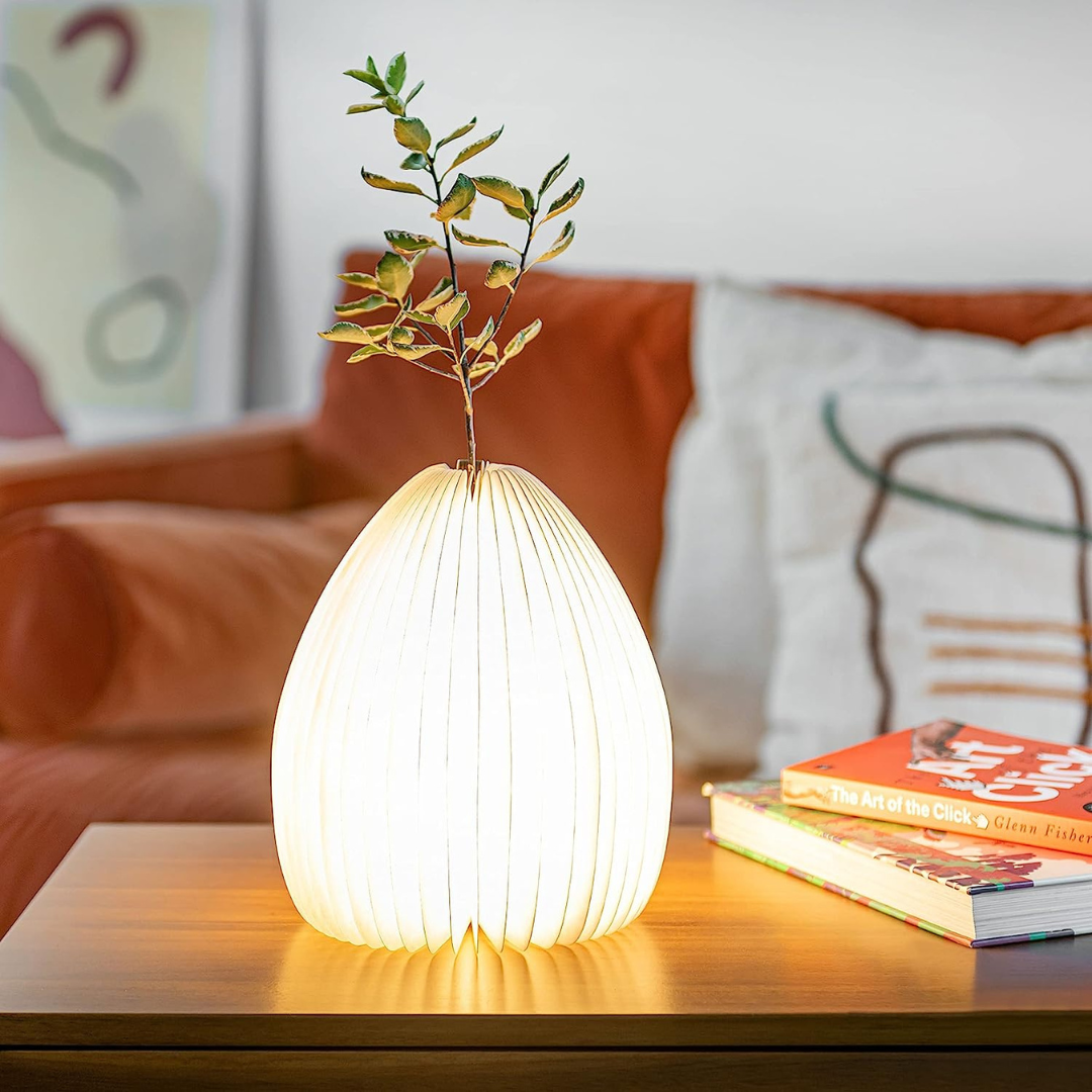 Gingko Design | Smart Vase Lamp Bamboo by Weirs of Baggot Street