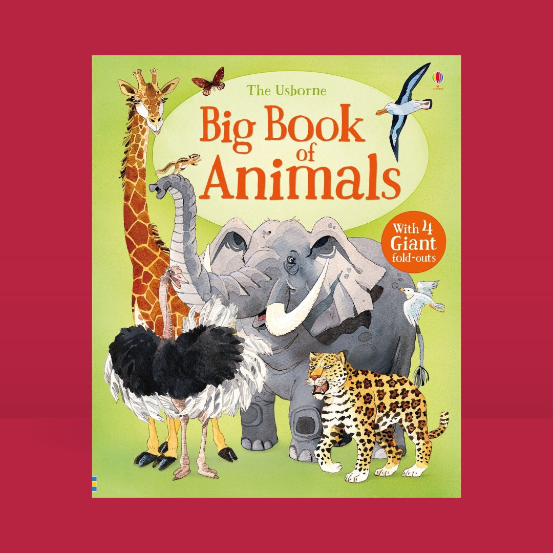Little Bookworms Usborne Big Book of Animals by Weirs of Baggot Street