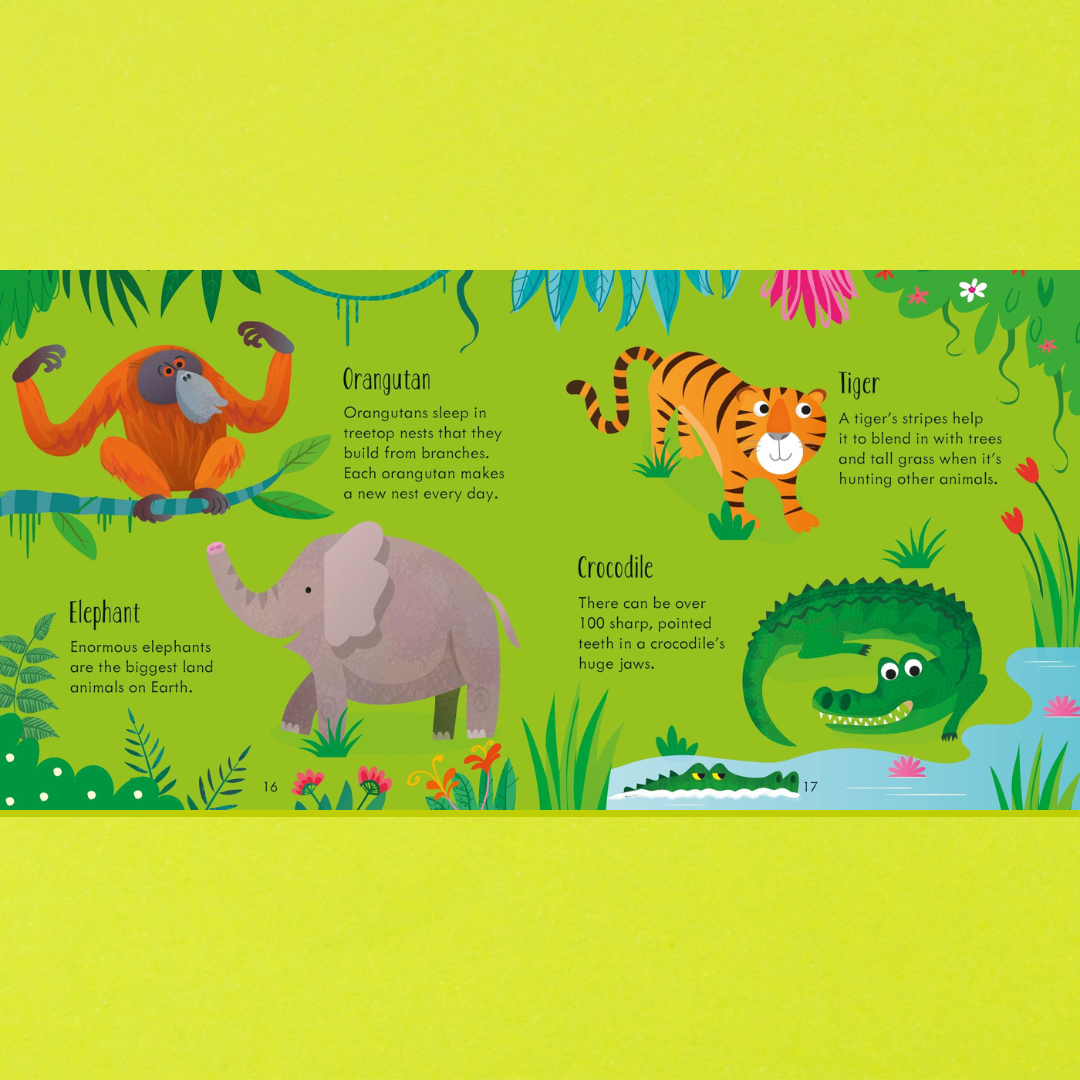 Little Bookworms | Usborne Animal Matching Games And Book by Weirs of Baggot Street