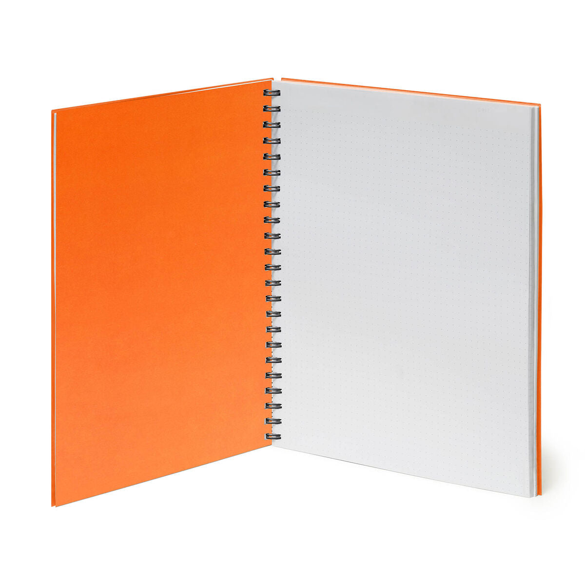 Notebooks - Legami Maxi Trio Spiral Notebook - Tropical Vibes by Weirs of Baggot Street
