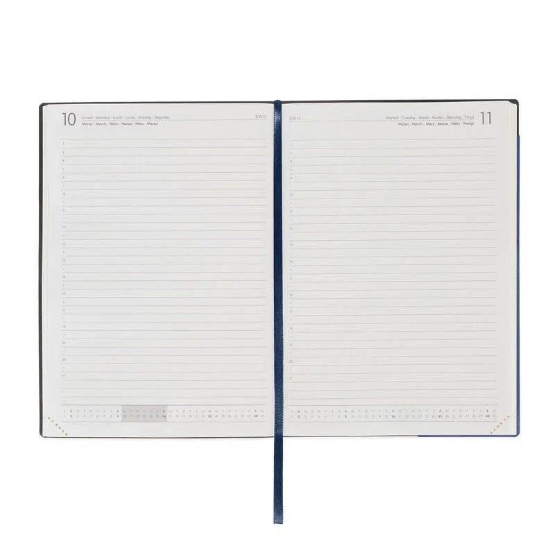 Stationery | Legami 12 Month Large Daily Diary 2025 Blueberry by Weirs of Baggot Street