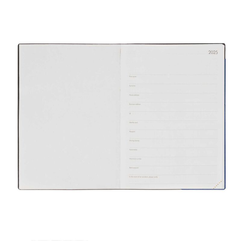 Stationery | Legami 12 Month Large Daily Diary 2025 Blueberry by Weirs of Baggot Street