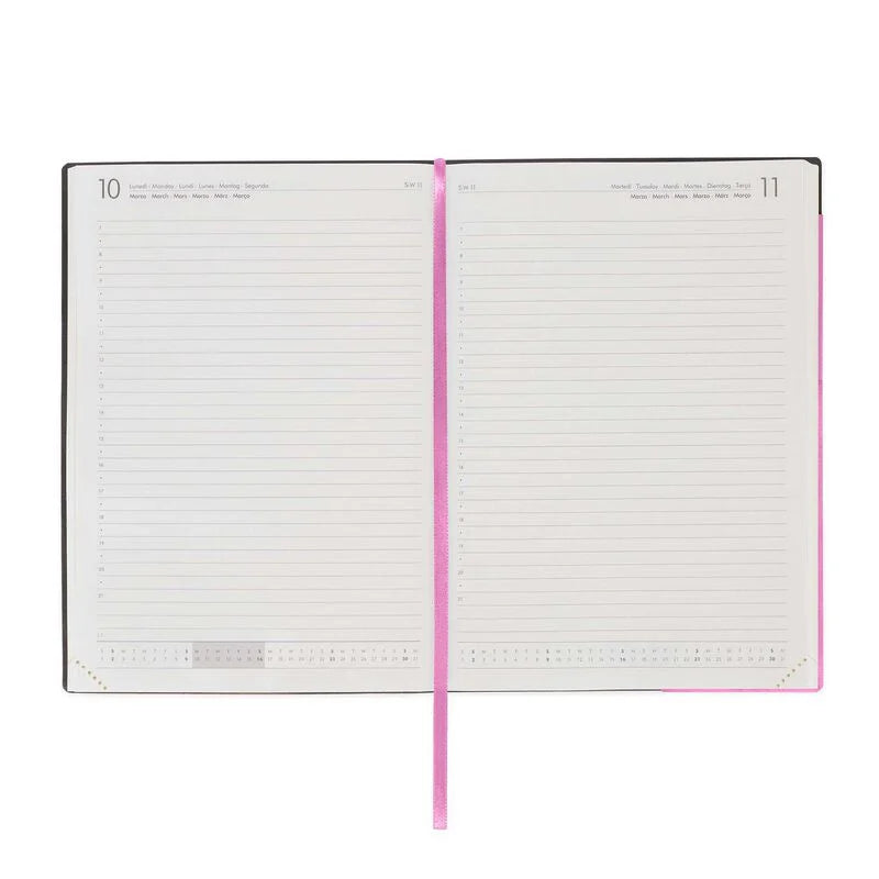 Stationery | Legami 12 Month Large Daily Diary 2025 Bubblegum by Weirs of Baggot Street