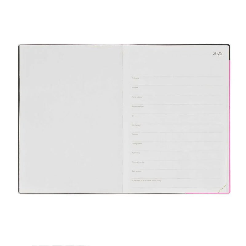 Stationery | Legami 12 Month Large Daily Diary 2025 Bubblegum by Weirs of Baggot Street