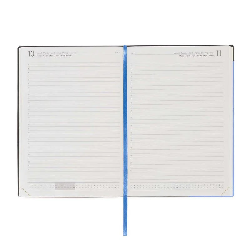 Stationery | Legami 12 Month Large Daily Diary 2025 Cornflower by Weirs of Baggot Street